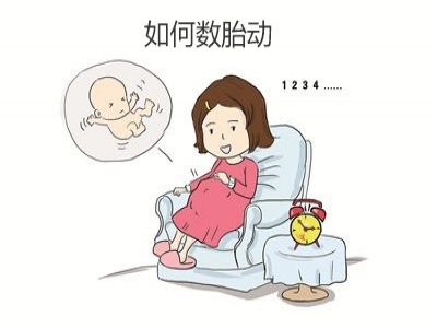 胎兒好不好，胎動全知道，數(shù)胎動的重要性